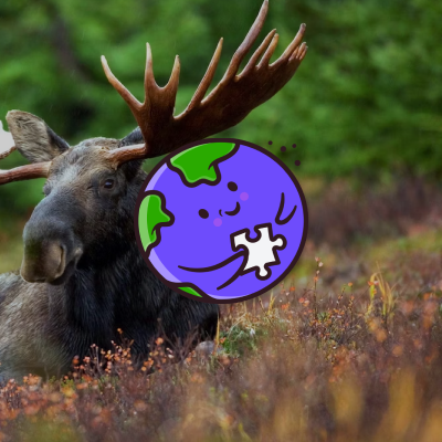 Image: Dyr